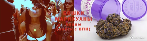 сатива Белокуриха