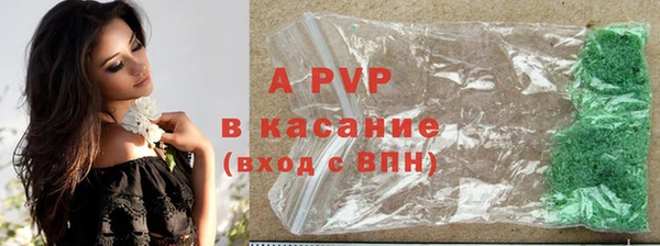 сатива Белокуриха
