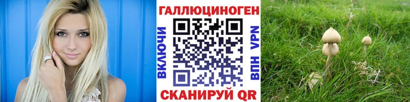 Галлюциногенные грибы MAGIC MUSHROOMS  Мураши 