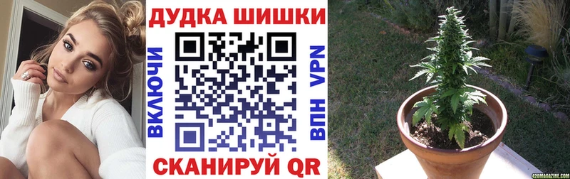 Конопля Amnesia Мураши